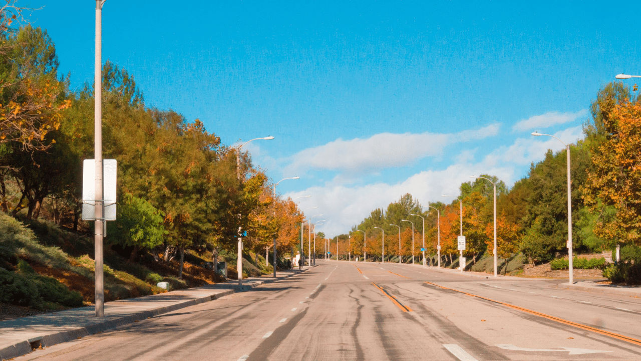 A picturesque street in Santa Clarita, lined with beautiful trees.