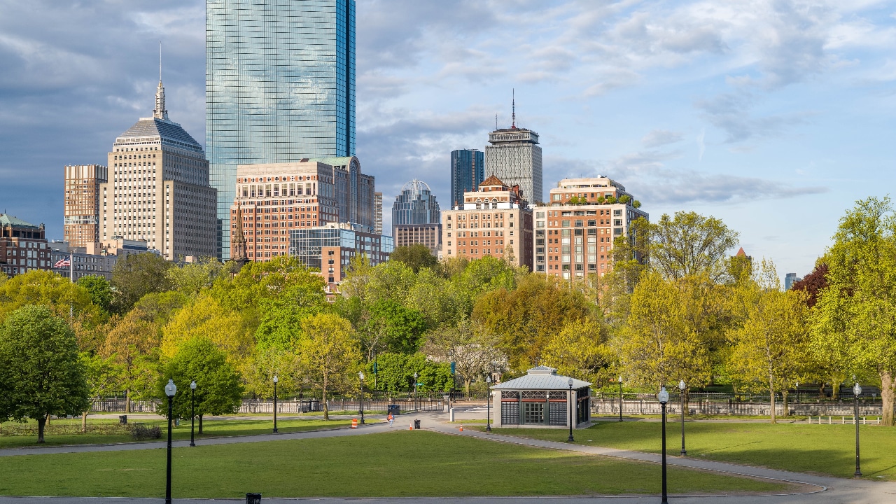 A park with buildings in the background.