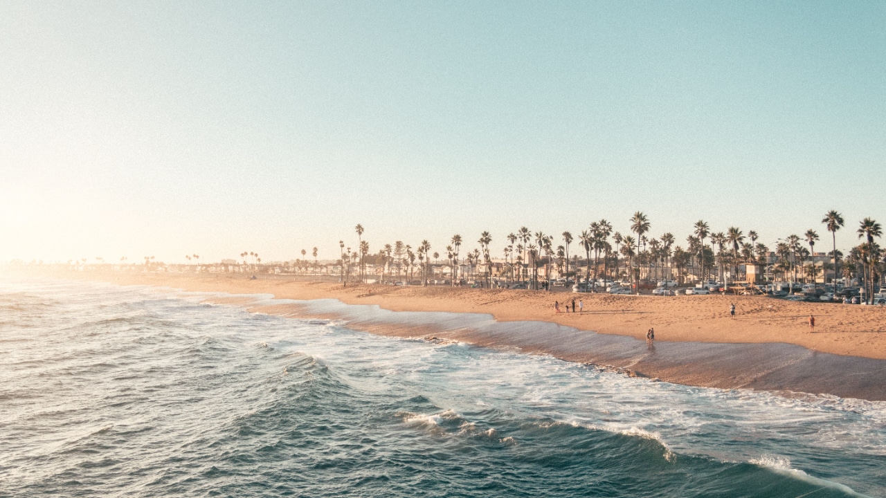 An aerial view of a beach with palm trees during the OC Marathon.