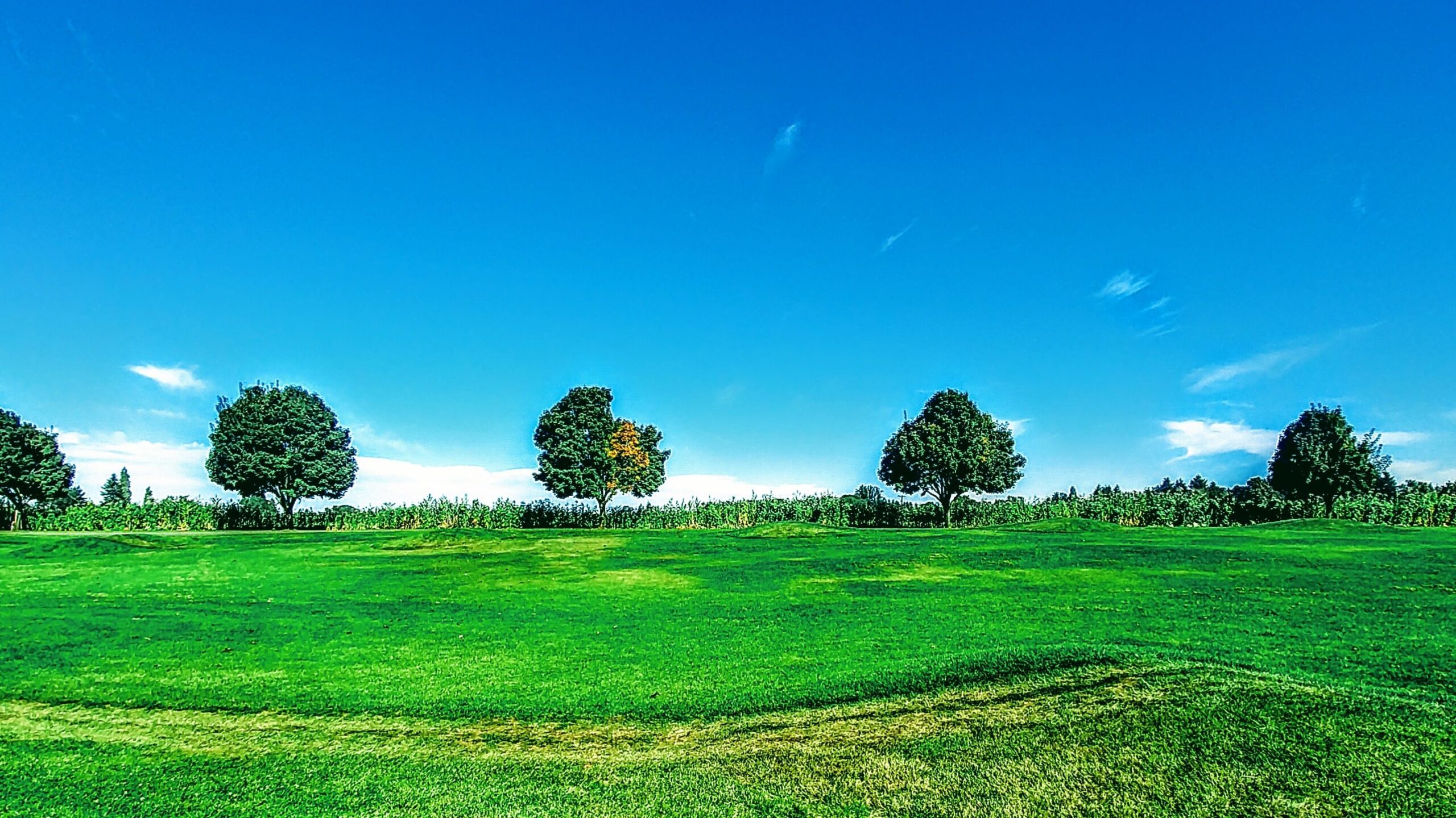 A green golf course with trees in the background, perfect for the Eugene Marathon.