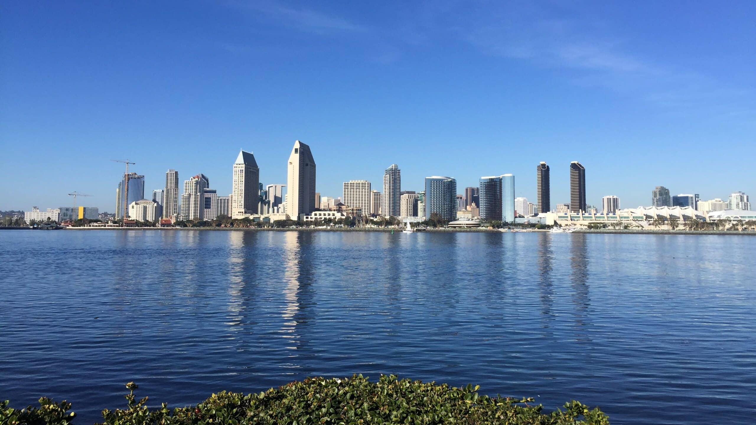 San Diego skyline viewed from the water during the Rock 'n' Roll San Diego Marathon.