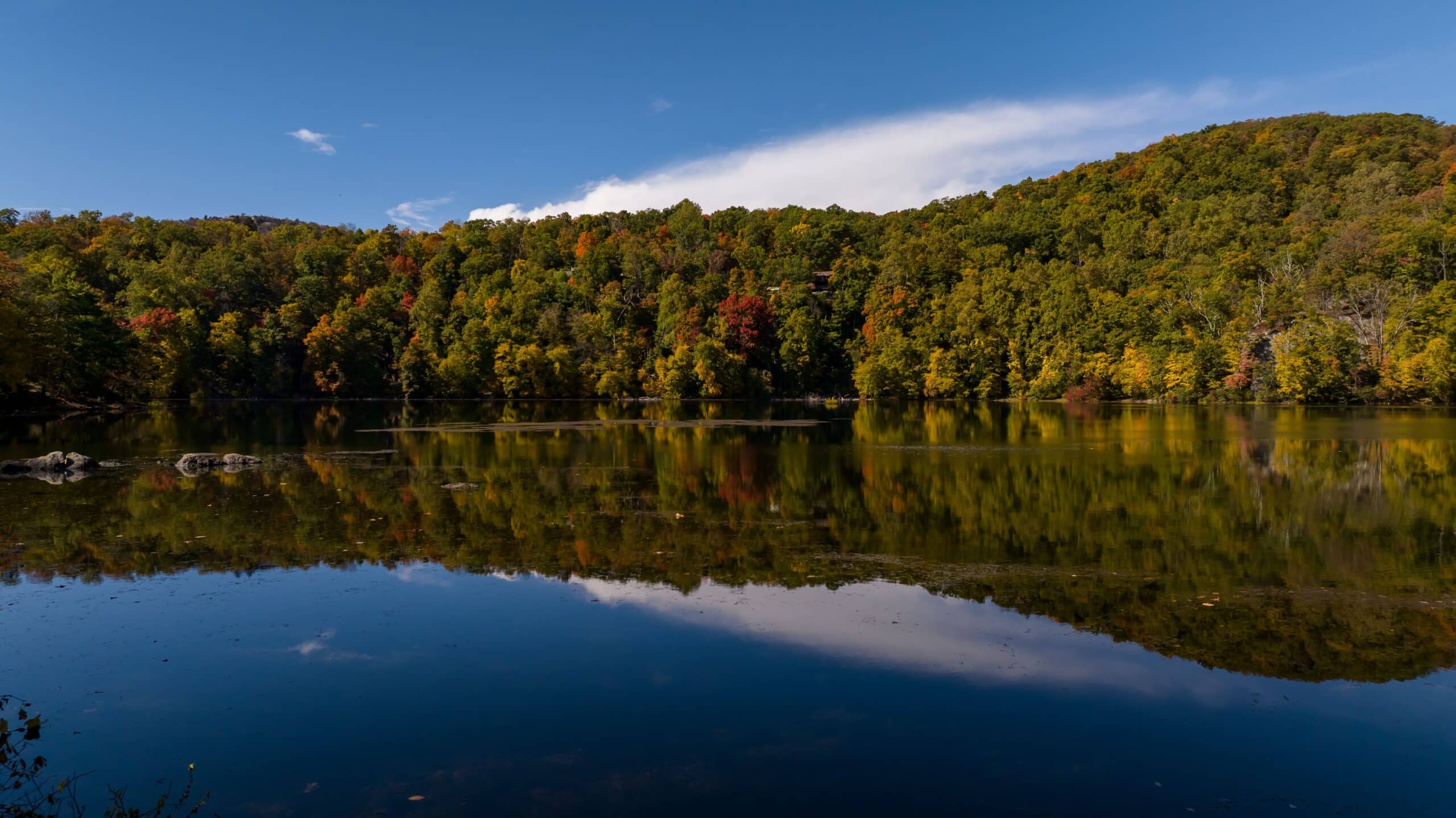 A lake surrounded by trees and a blue sky.