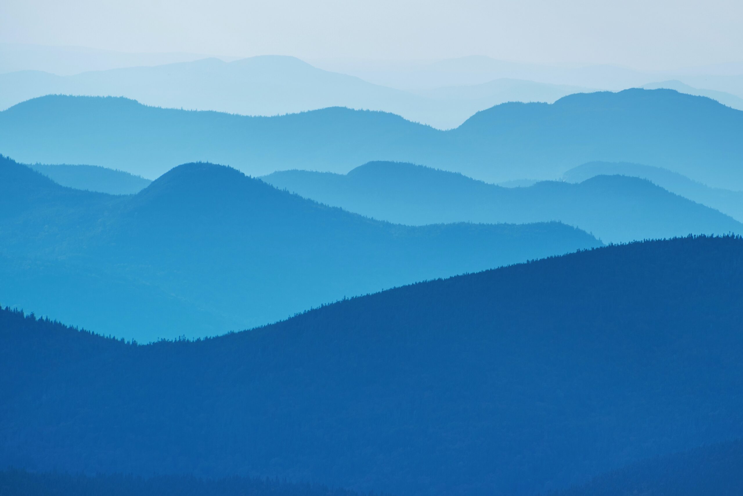 A blue mountain range with trees in the background.