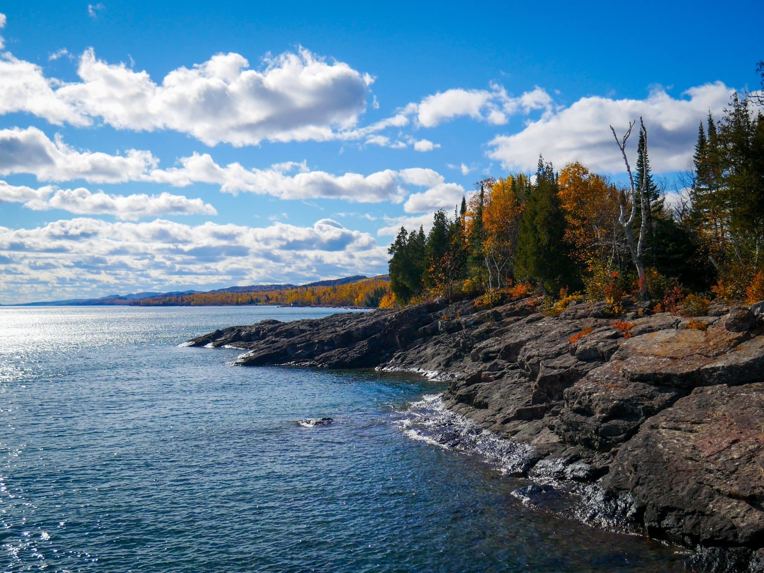 A rocky shoreline with trees and a body of water.