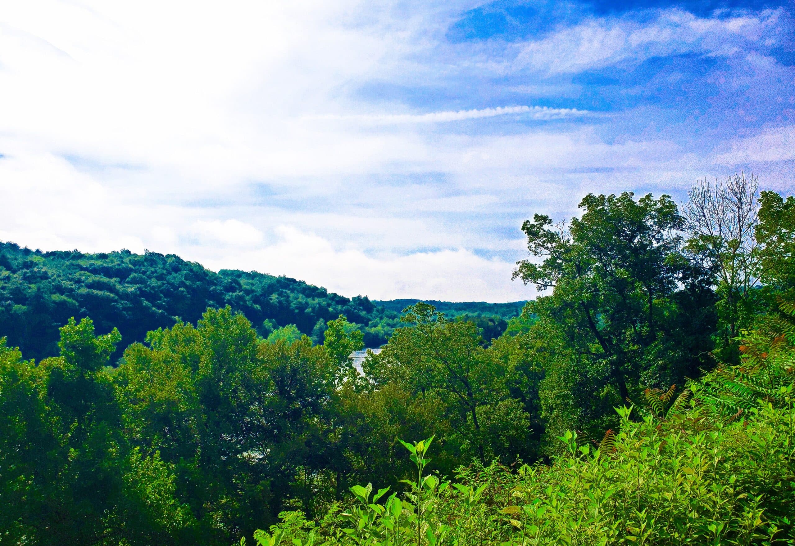 A view of a hillside with trees and a river.