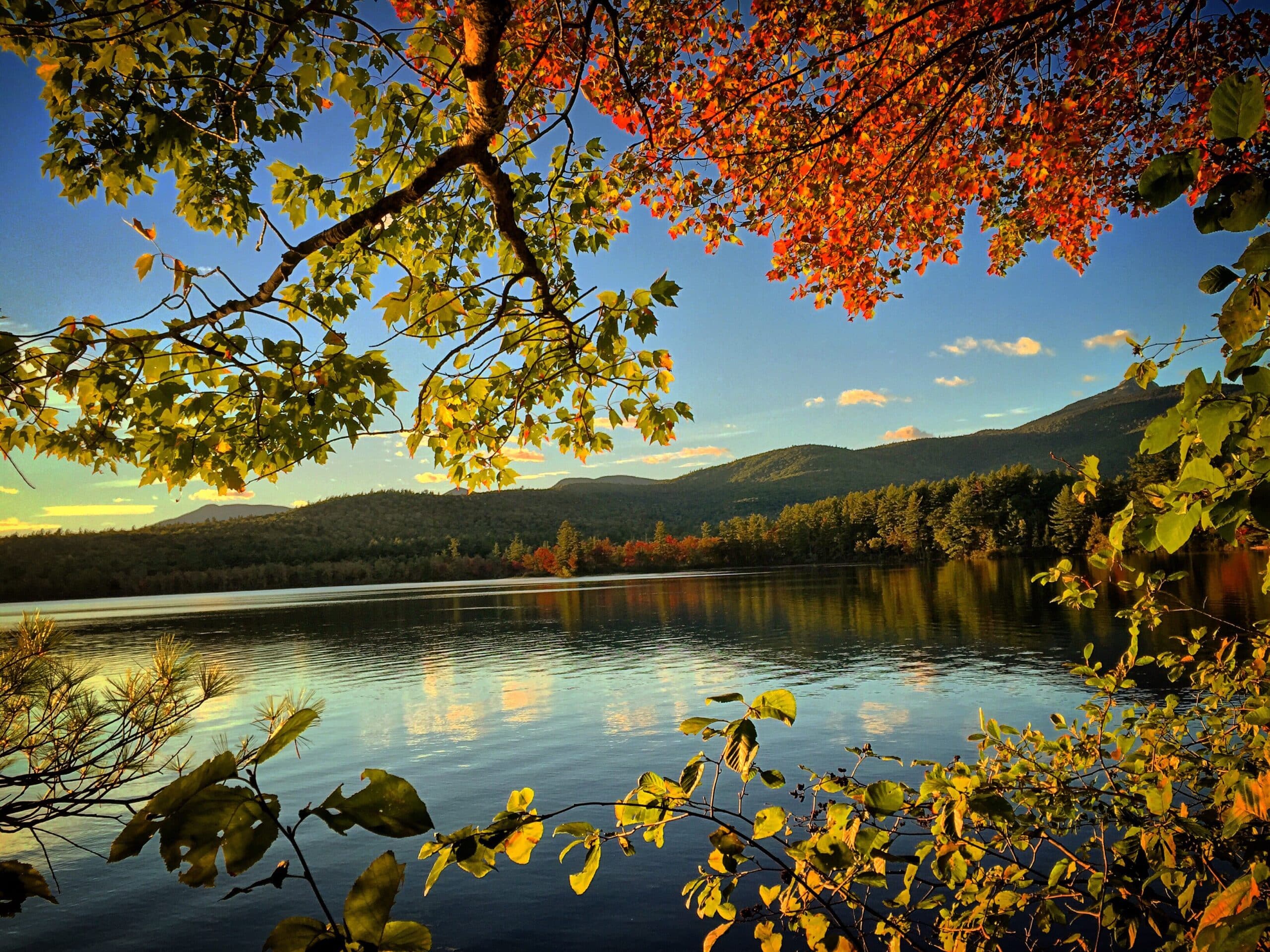 A lake with trees and mountains in the background.