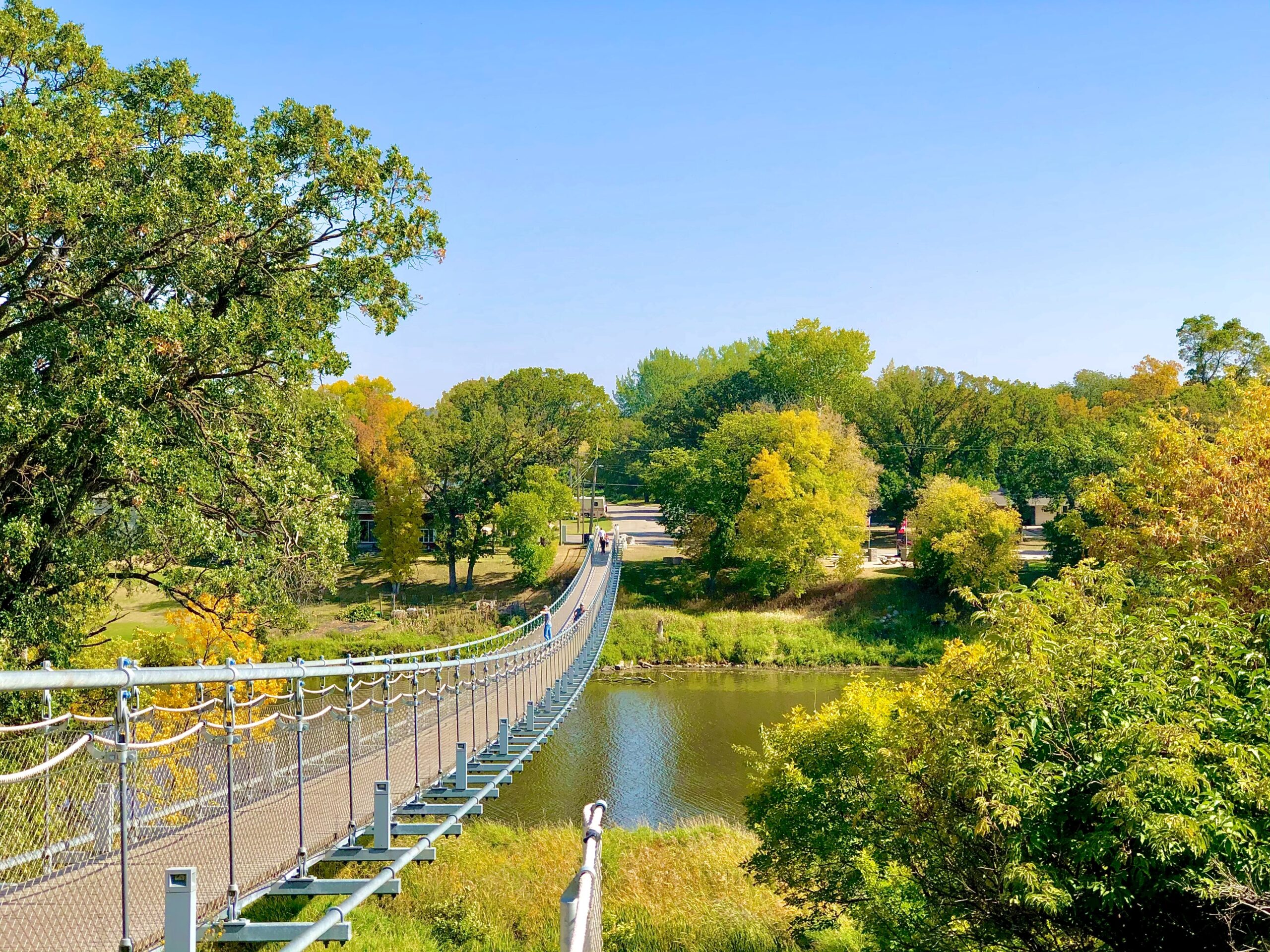 A suspension bridge over a pond in a park.