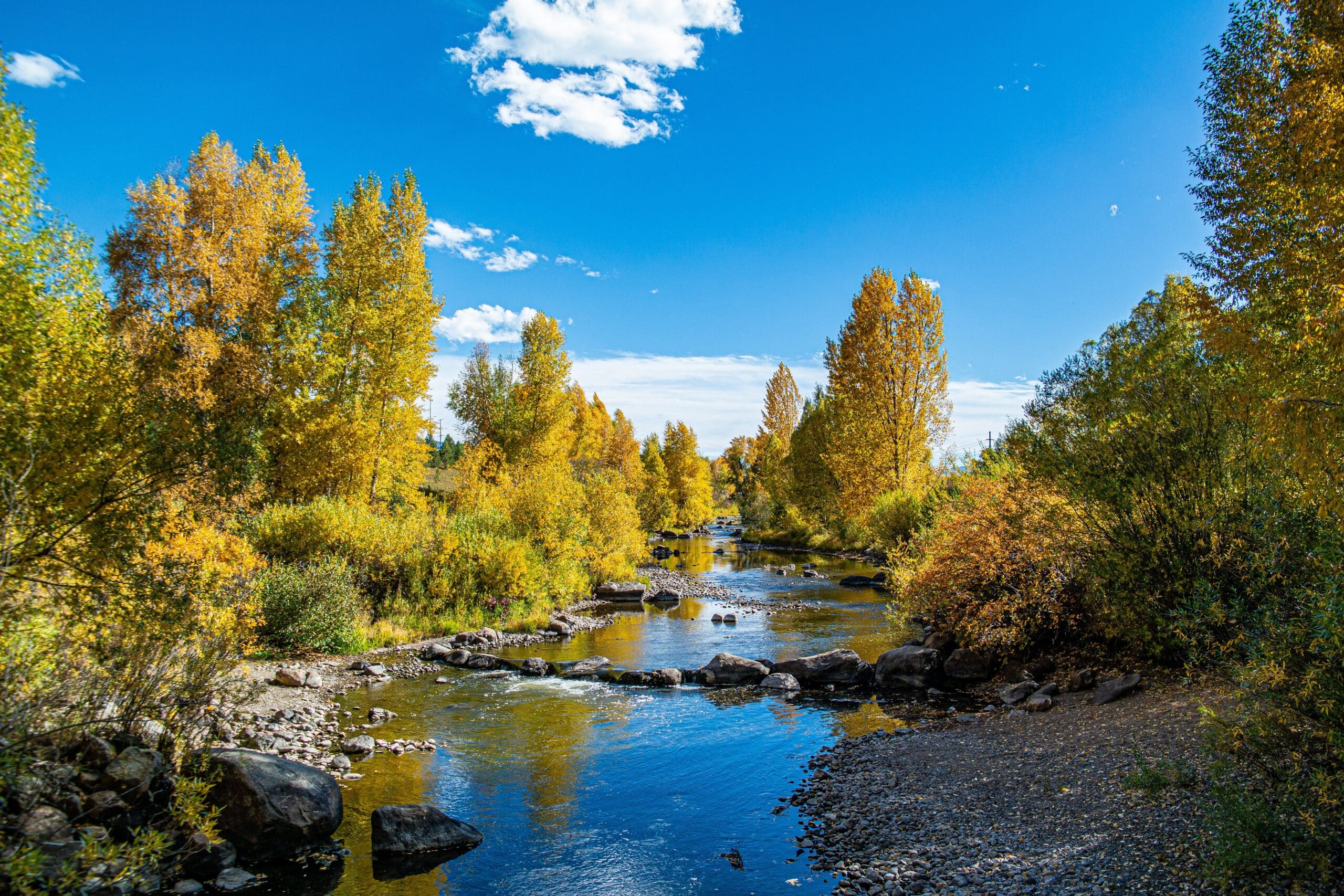 A river surrounded by trees.