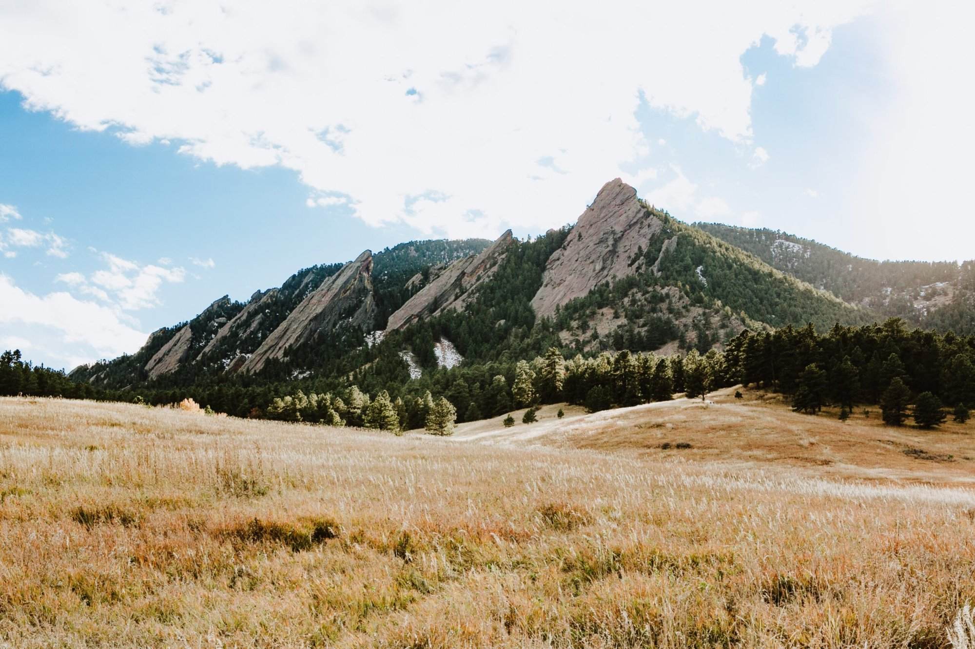 A grassy field with mountains in the background.