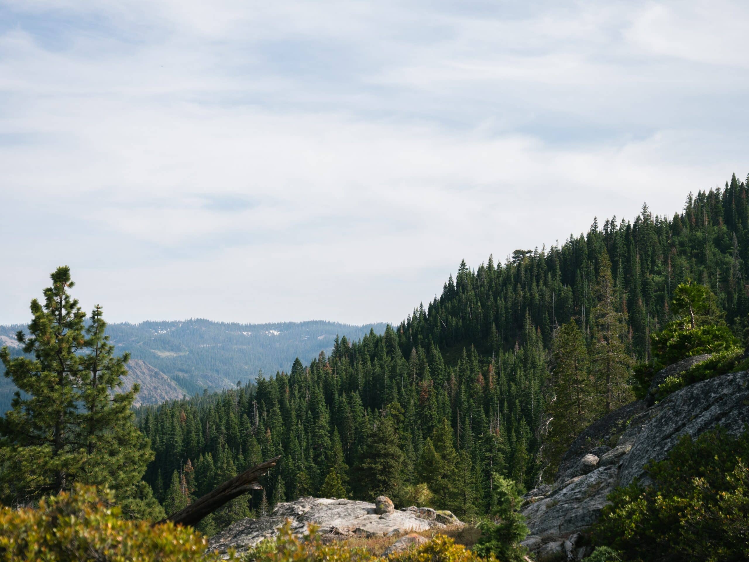 A rocky mountainside with trees in the background.