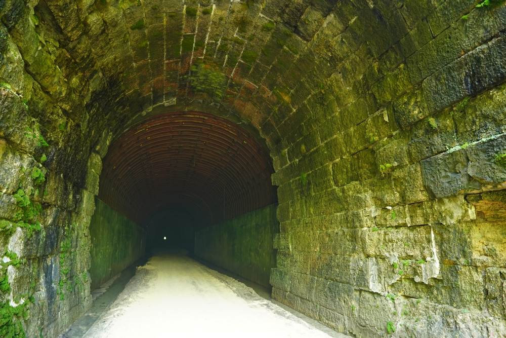 A tunnel with moss in the middle of it.