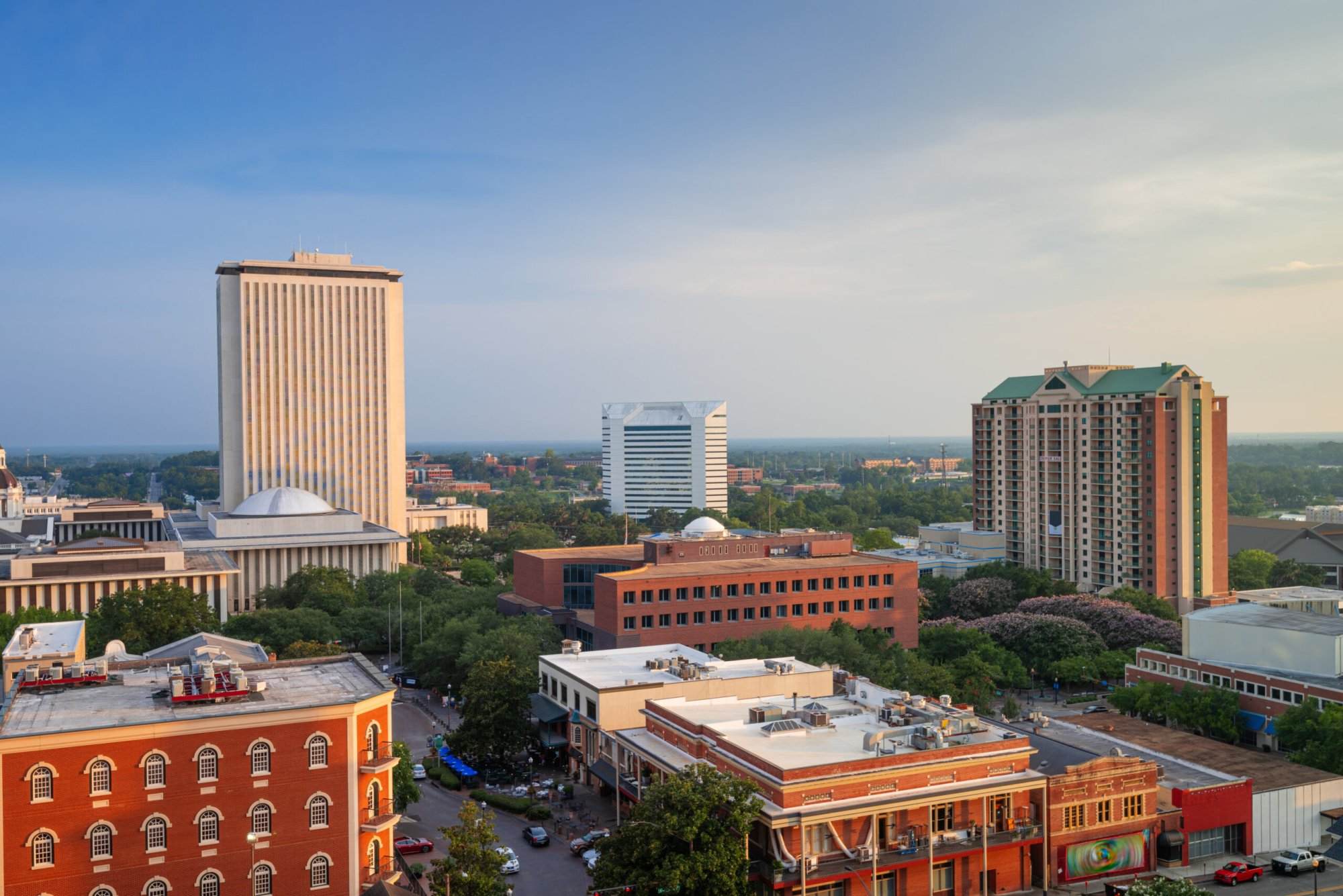 The skyline of a city with tall buildings and trees.