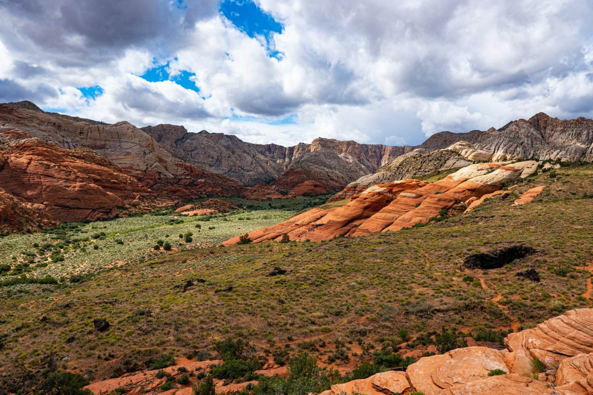 Red rock canyon, zion national park, utah, utah, utah, ut.